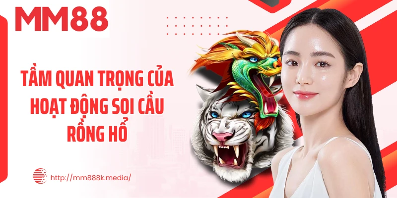 Tầm quan trọng của hoạt động soi cầu rồng hổ